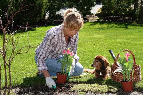 Gardeners practicing safe procedures while working on a lawn